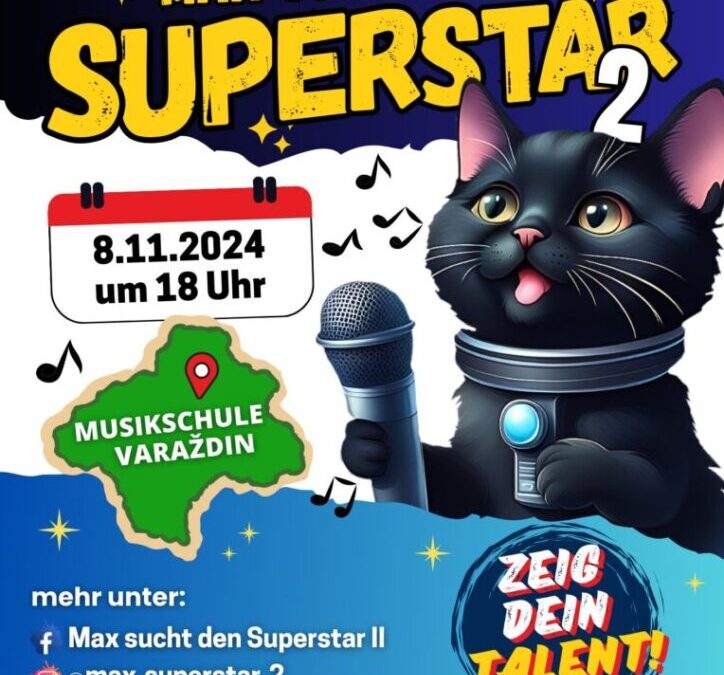 Max sucht den Superstar II