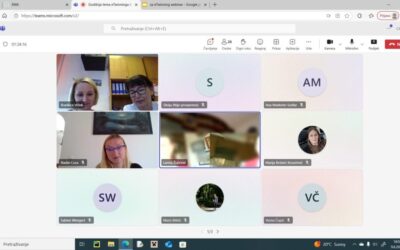 Gospodarska škola Varaždin predstavljena na eTwinning webinaru