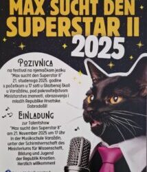 MAX SUCHT DEN SUPERSTAR II