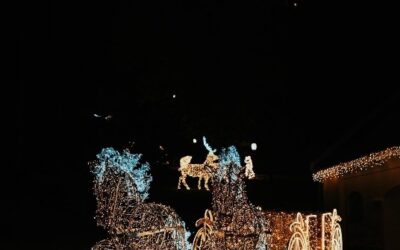 „Dvorac svjetla“ – izložba