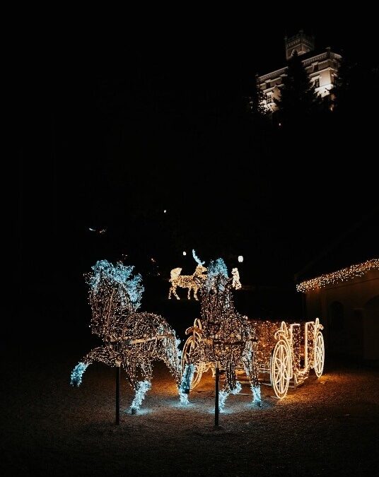 „Dvorac svjetla“ – izložba