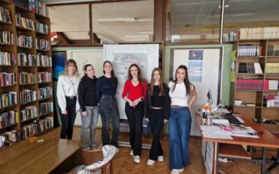 Projekt: „Unter dem Druck der Likes: Stress in der Welt der Influencer“