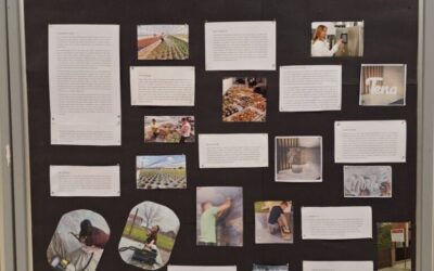 Pošten rad, trud i odgovornost vode do uspjeha